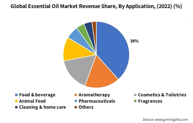 Consultation Services